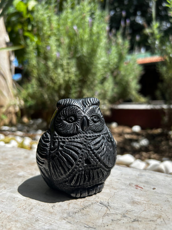 Búho chico barro negro