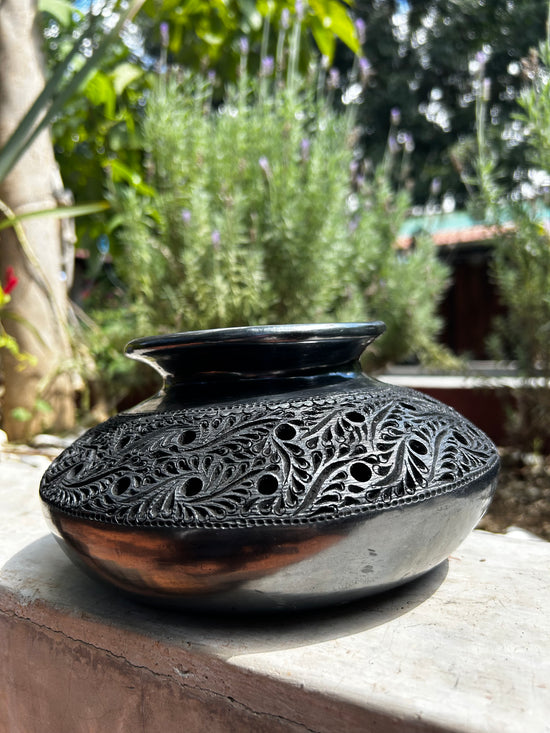 Nigua calada de barro negro